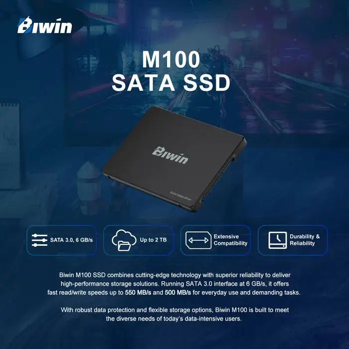 BIWIN M100 512GB SATA