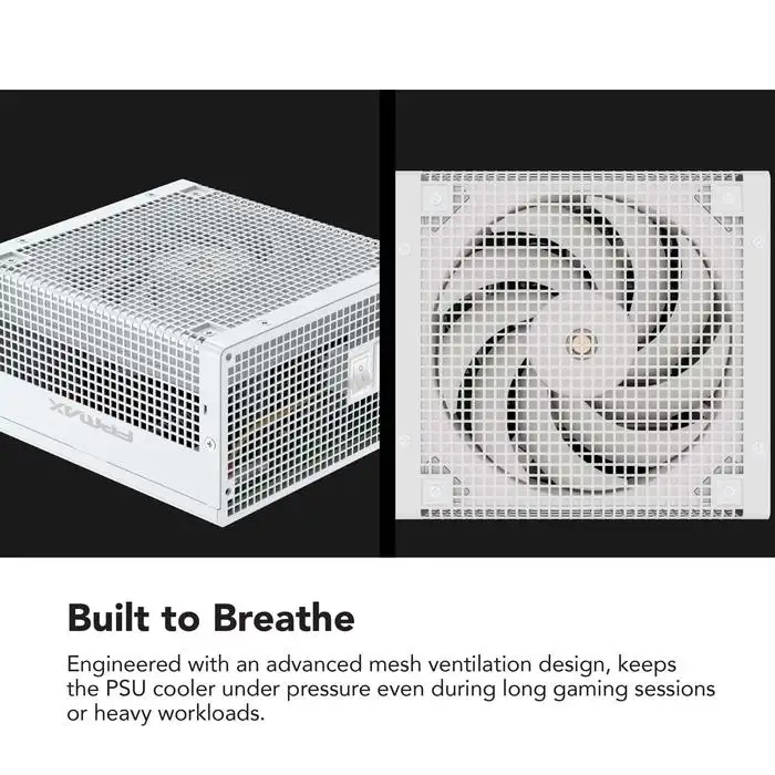 FPMAX CS 650W BR White 80+ Bronze Full Modular PCIE 5.1 Japan caps