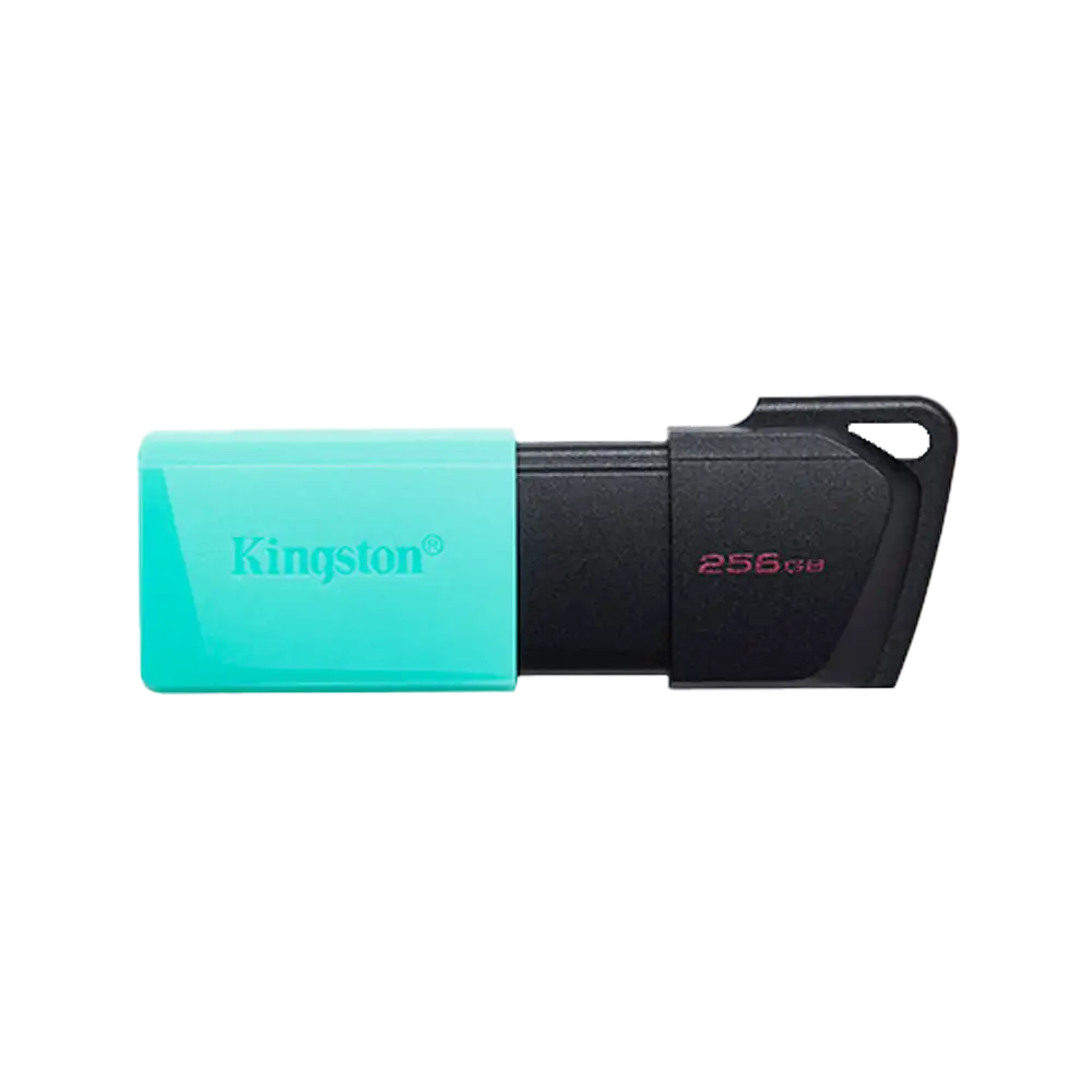 FLASHDISK KINGSTON 256GB USB3.2 DataTraveler Exodia M