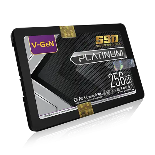 VGEN PLATINUM 256GB SATA