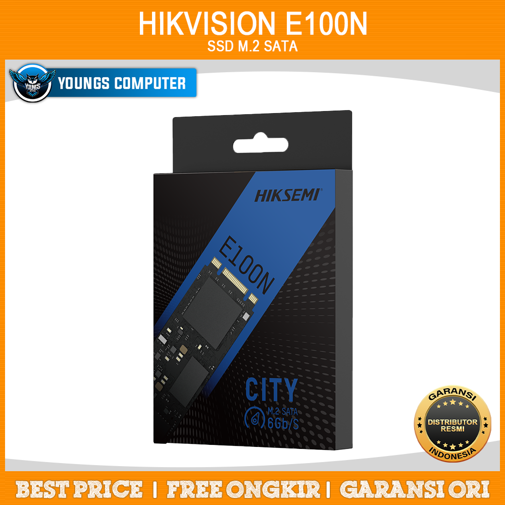 HIKVISION E100N 1TB M.2 SATA