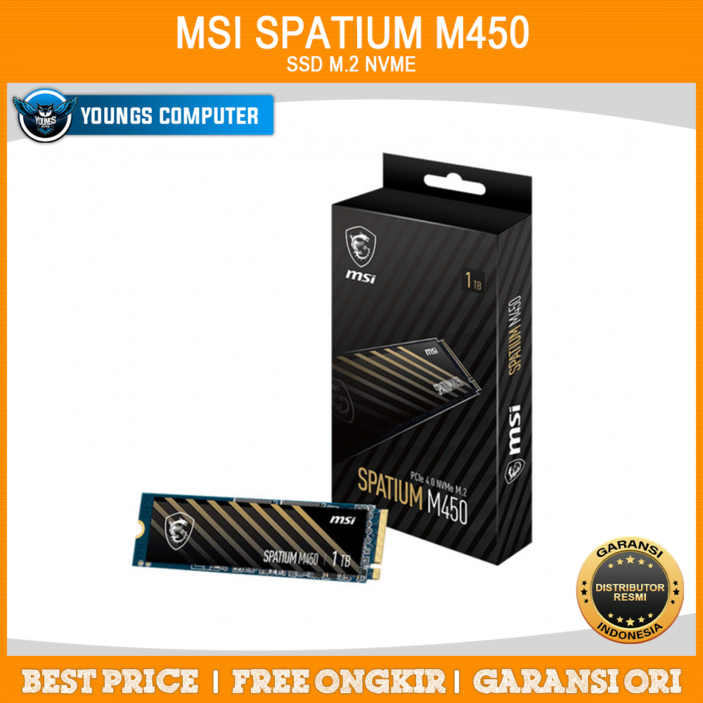 MSI SPATIUM M450 1TB PCIe 4.0 3600/2300mbps