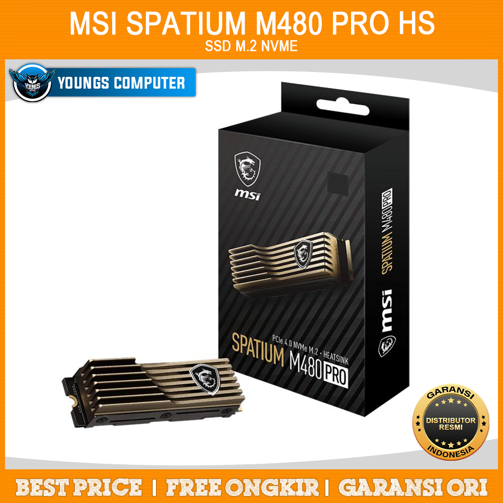 MSI SPATIUM M480 PRO HS 1TB PCIE 4.0 7400/7000Mbps