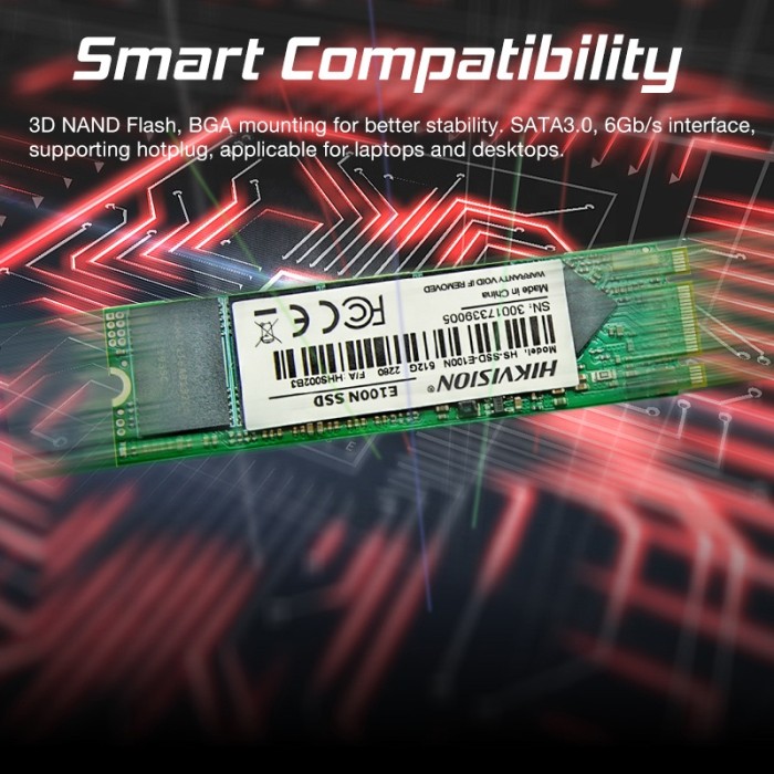 HIKVISION E100N 1TB M.2 SATA - Gambar 4