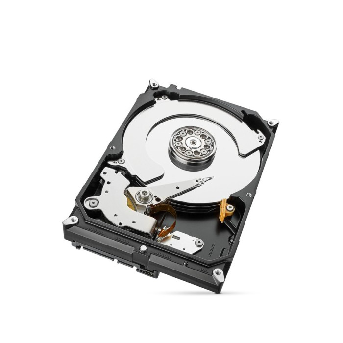 3.5" SEAGATE SKYHAWK 4TB - Gambar 3